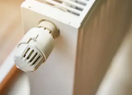 entretien de radiateur Entrammes-4